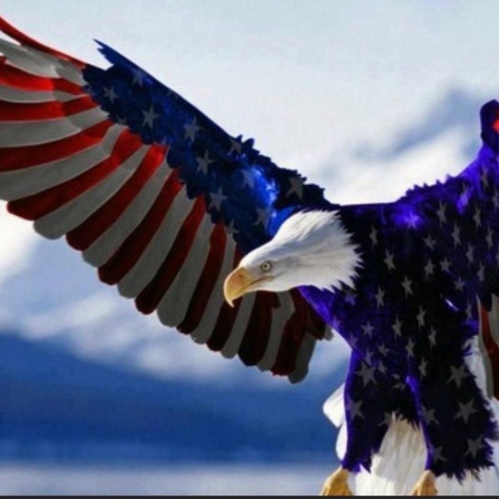 🇺🇸🇺🇸🇺🇸🇺🇸🇺🇸🇺🇸🇺🇸🇺🇸🇺🇸🇺🇸 - Picture 3 of 6